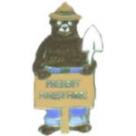 SMOKEY THE BEAR PIN PREVENT FOREST FIRES PIN